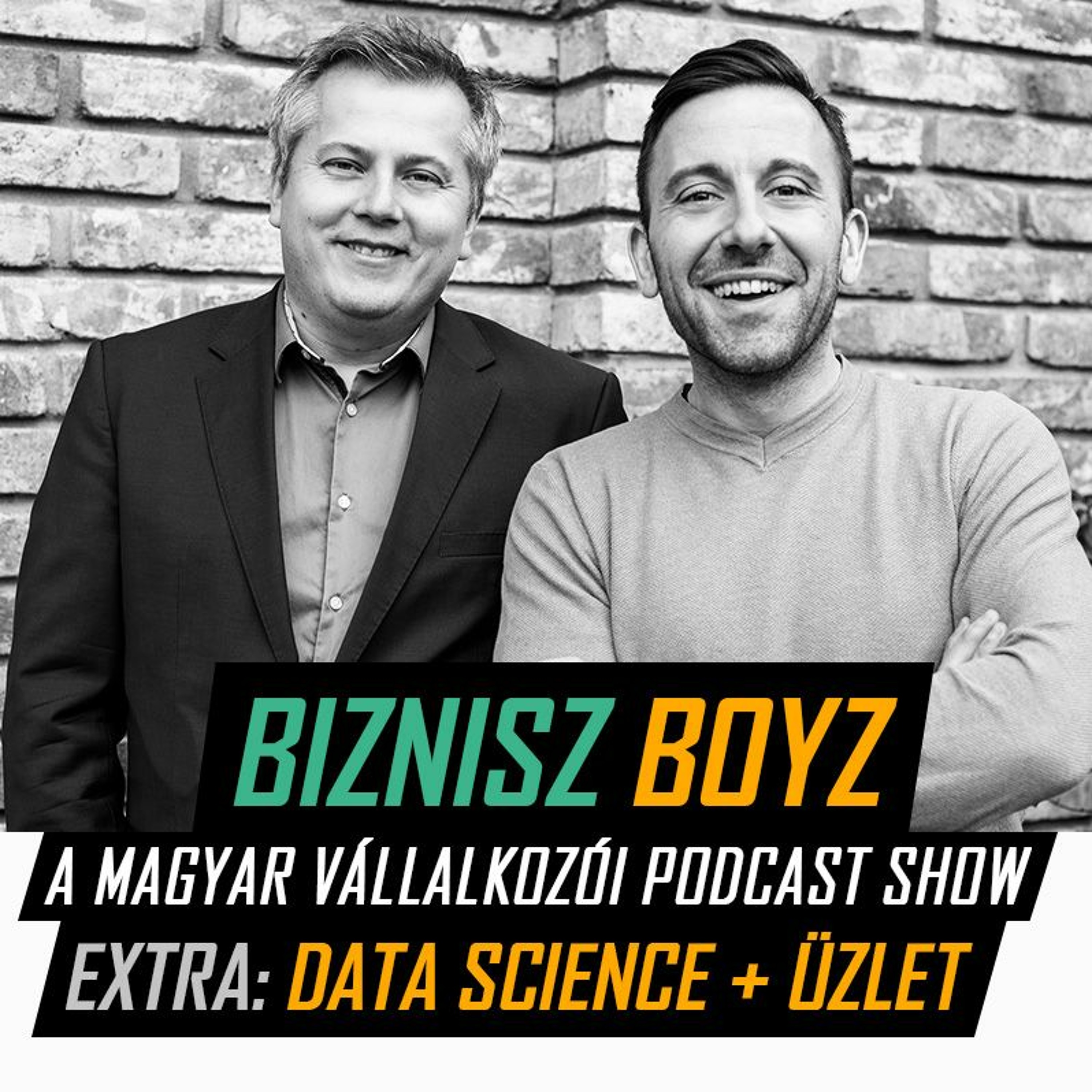 EXTRA: Data science tanácsadás, spin-off és exit történetekkel (dmlab)  |  Biznisz Boyz Podcast